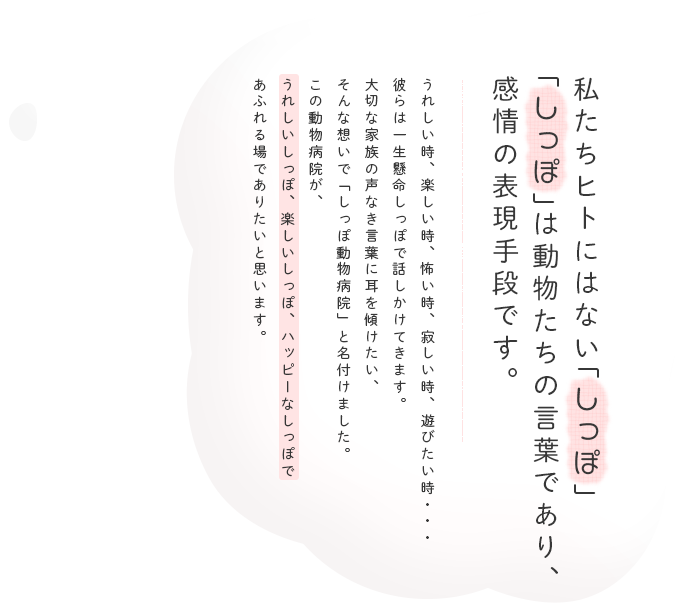 私たちヒトにはない「しっぽ」 「しっぽ」は動物たちの言葉であり、感動の表現手段です。