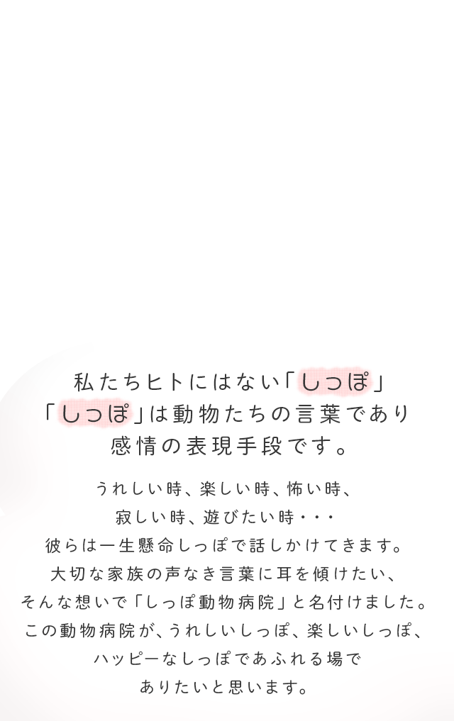 私たちヒトにはない「しっぽ」 「しっぽ」は動物たちの言葉であり、感動の表現手段です。